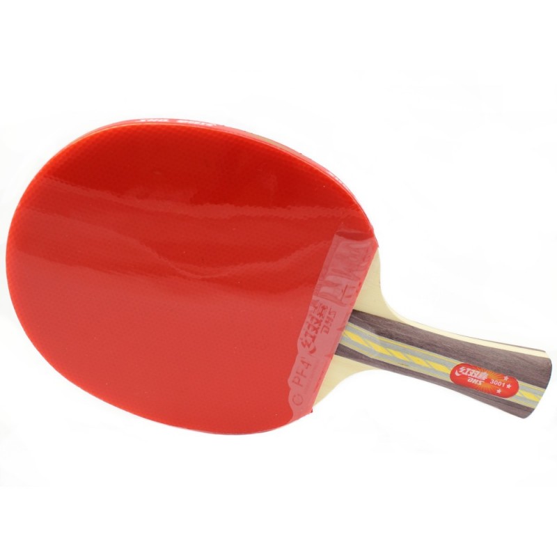 Ракетка для настольного тенниса DHS 3001