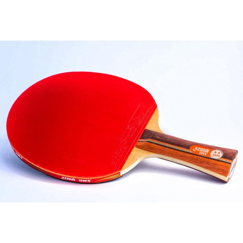 Ракетка для настольного тенниса DHS 2002