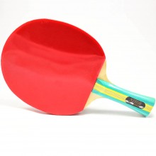 Ракетка для настольного тенниса DHS S202