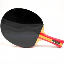 Ракетка для настольного тенниса DHS S203