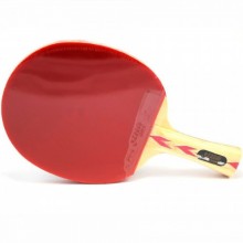 Ракетка для настольного тенниса DHS S402