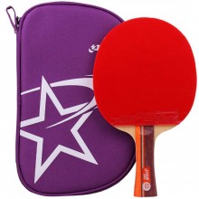 Ракетка для настольного тенниса DHS 2002