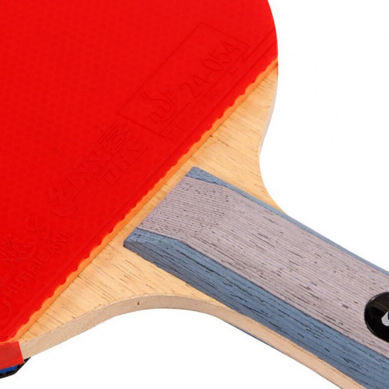 Ракетка для настольного тенниса DHS 6002