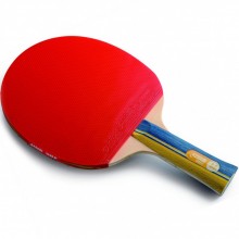 Ракетка для настольного тенниса DHS 2003
